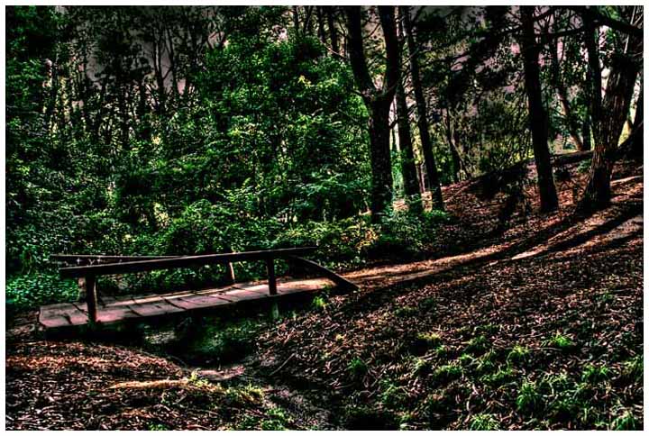 bosque_2030.jpg