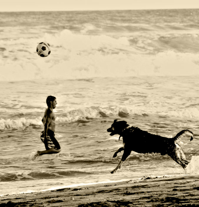 pelota