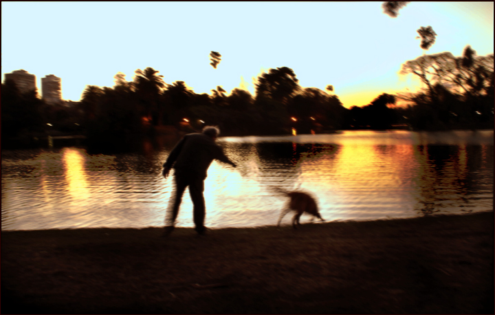 The man and his dog