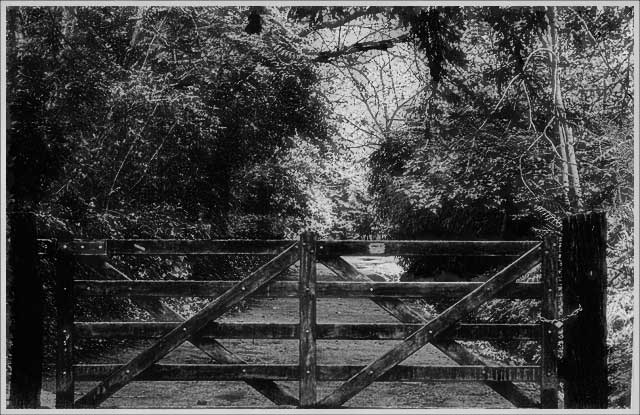 Fence