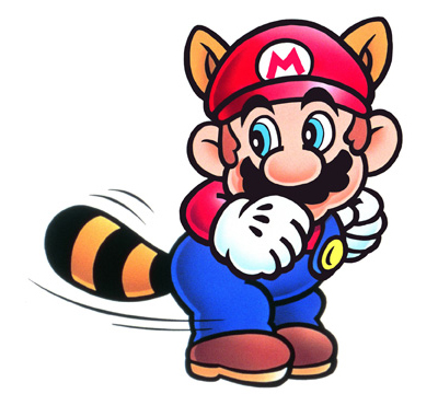 mapache