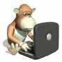 ape_with_laptop_md_wht