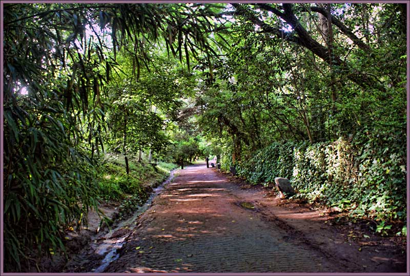 sendero