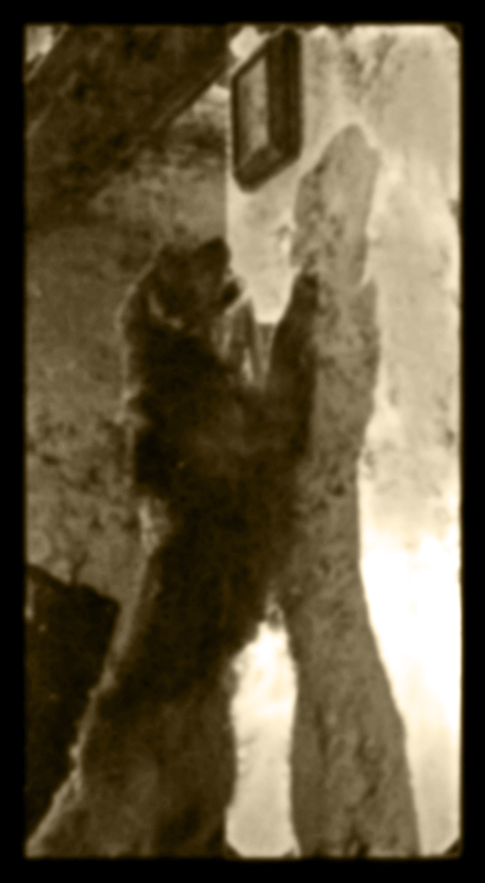 Reaching for time (2)