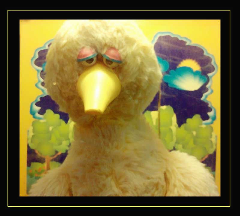 Mr. Duck is sad