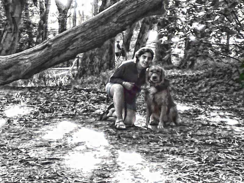 bosque