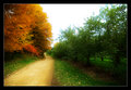 A day in autumn