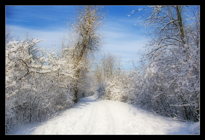 Beauties of winter -2-