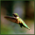 Hummer 2