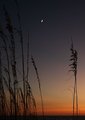 seaoats-sunset.jpg
