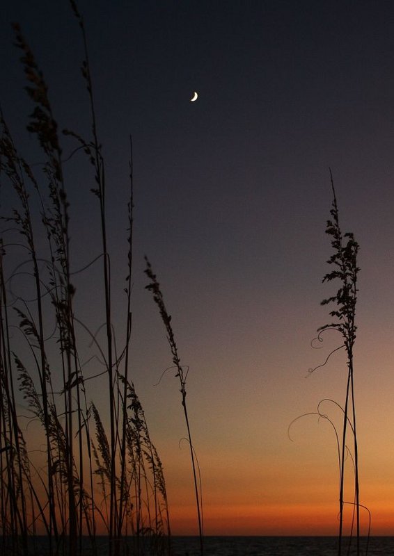 seaoats-sunset.jpg