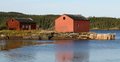 nfld_estprt1.JPG