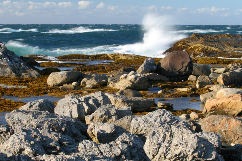 nfld_grosmorne_brmPnt2.JPG