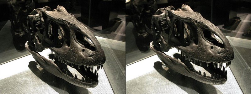 dinoHead_3d.jpg