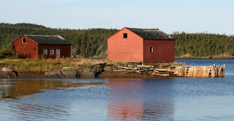 nfld_estprt1.JPG
