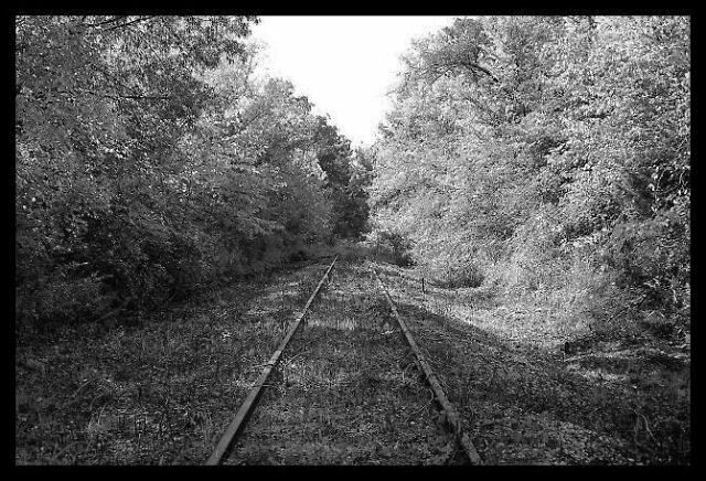 Railroad BnW.jpg