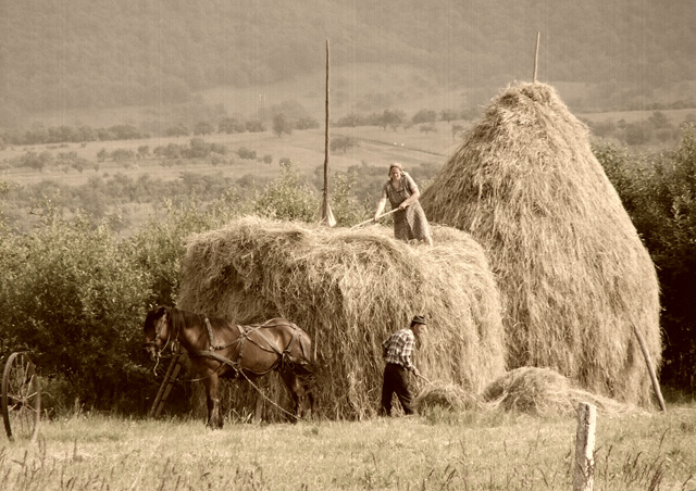 Haystack Couple.jpg