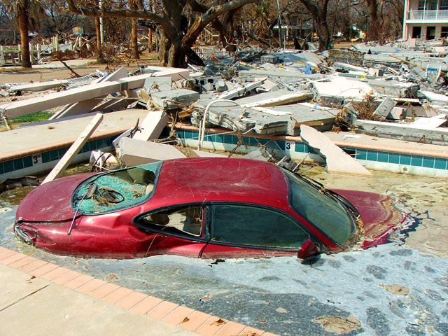 Jaguar-in-Pool.jpg