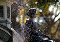 Fountain Mist