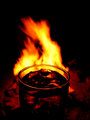Fiery Spiced Gold