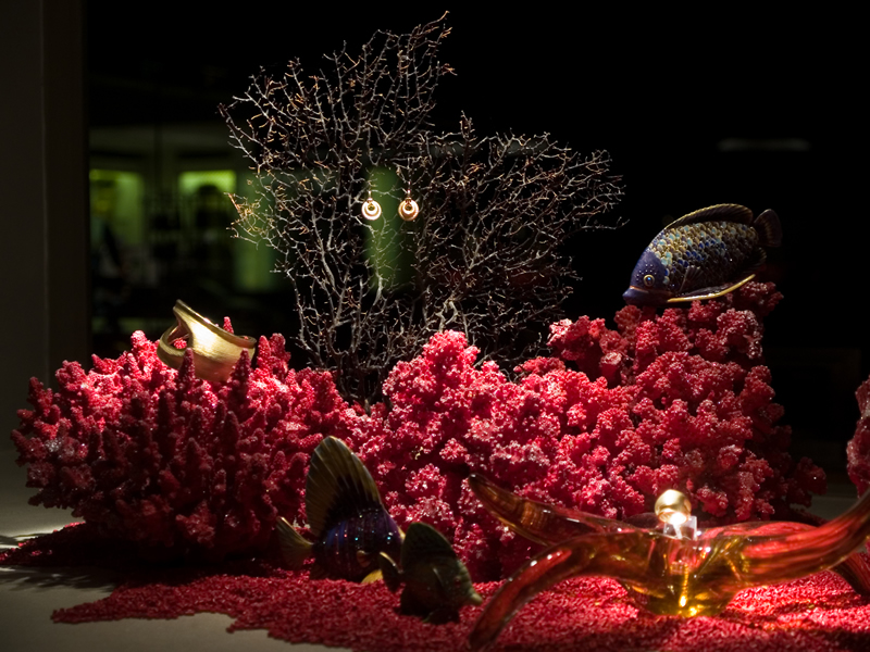 Hall's Decoration 1