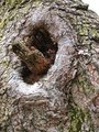 Day 12 - Missing Branch