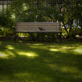 Bird on Bench