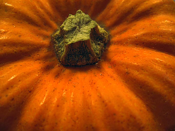 Day 4 - Mini Pumpkin Top