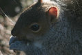 IMG_4830pp.jpg
