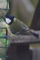 IMG_1352