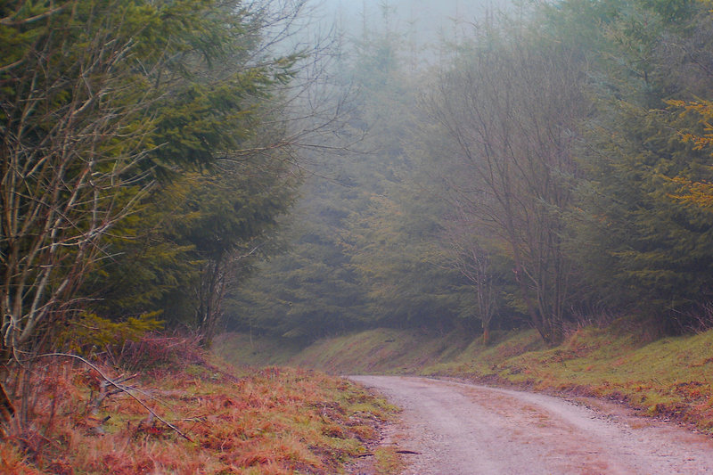Round The Bend