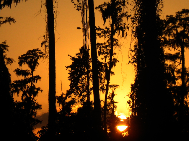 Florida 2007 (777).jpg