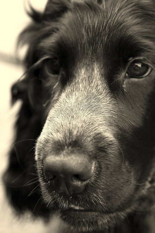 Jack