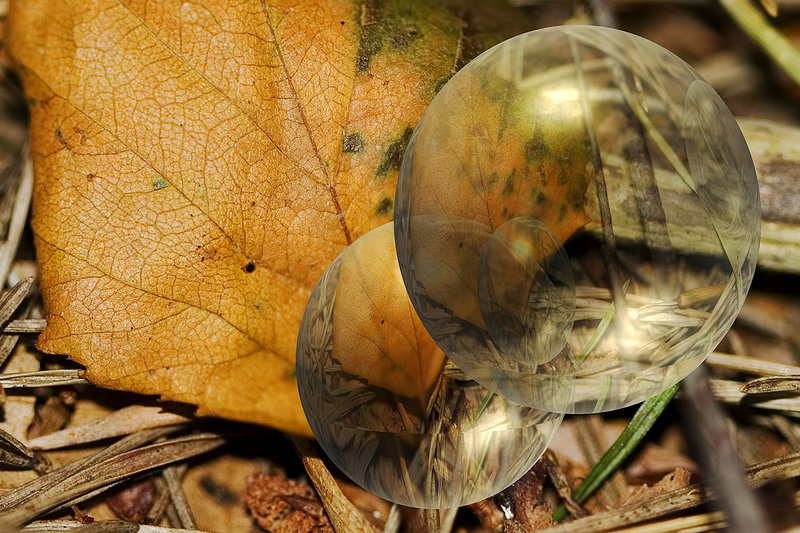 Autumn Spheres
