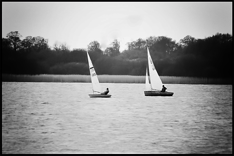 _MG_7211j