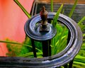 ring around the rail.JPG