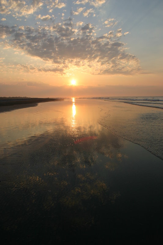 morning reflections.JPG