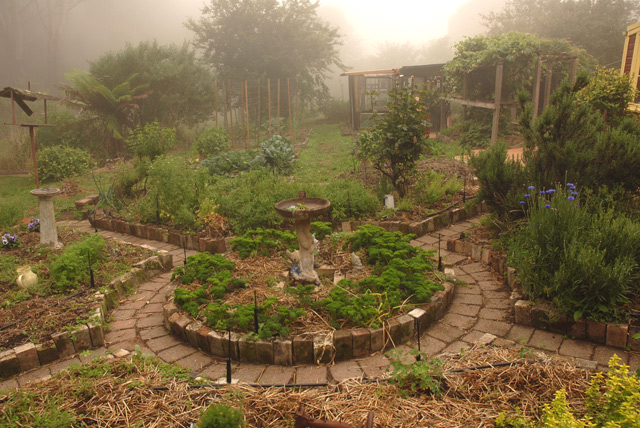 Garden-in-Mist
