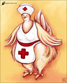 The Chicken Nurse