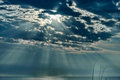 Rays