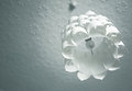 Light