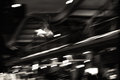 Flight