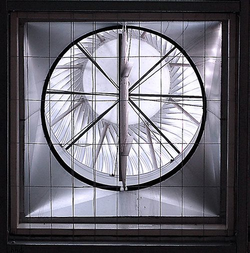 Fan