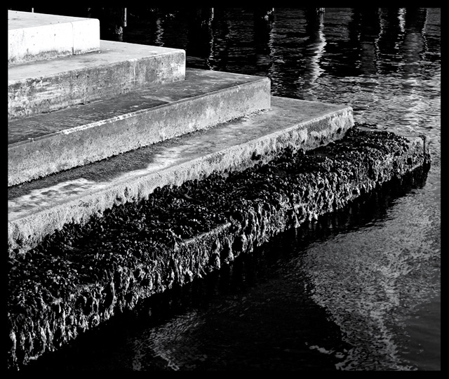 steps