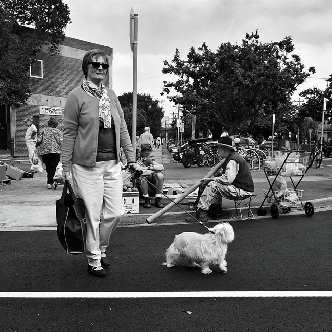 didge & dog