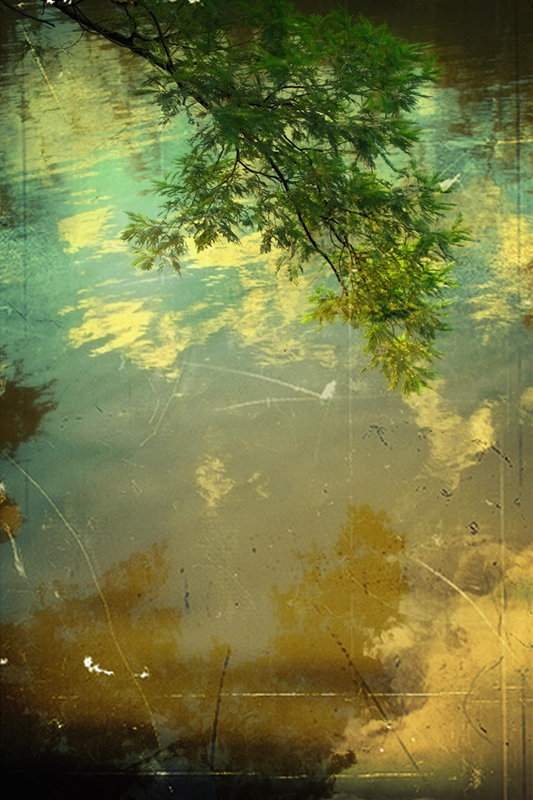 Yarra