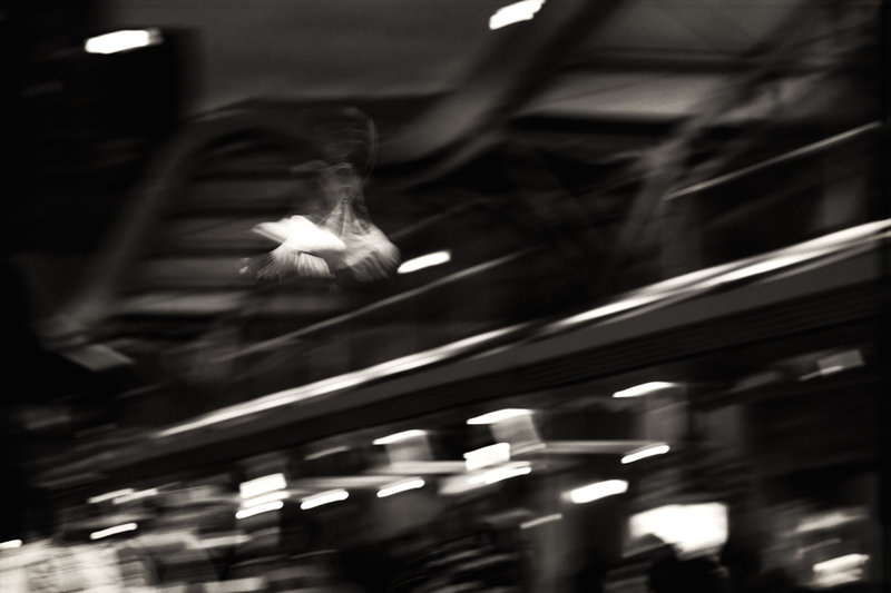 Flight