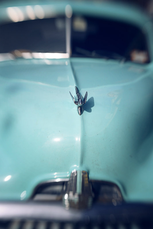 Fly