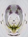 The birth of a flowerweb.jpg