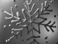 Day 14 - Flake